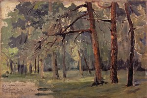 Bagatelle Paříž, Francie od Antonio Parreiras